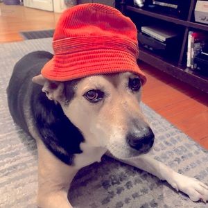 Orange J Crew Corduroy Bucket Hat